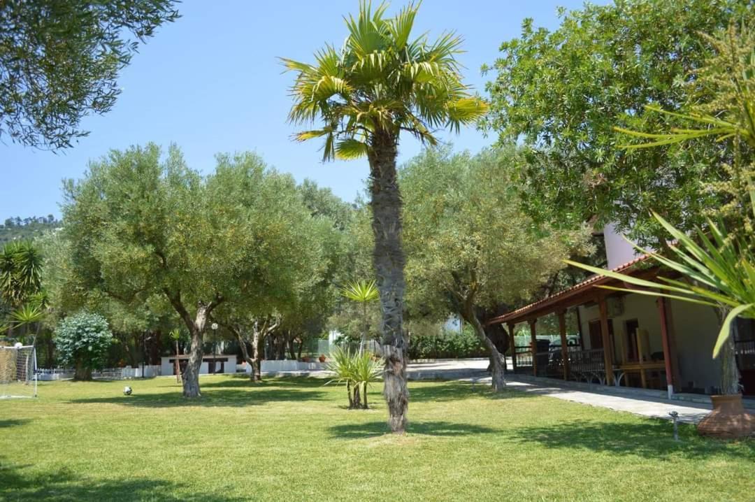 Hotel Delfino Mola Kalyva